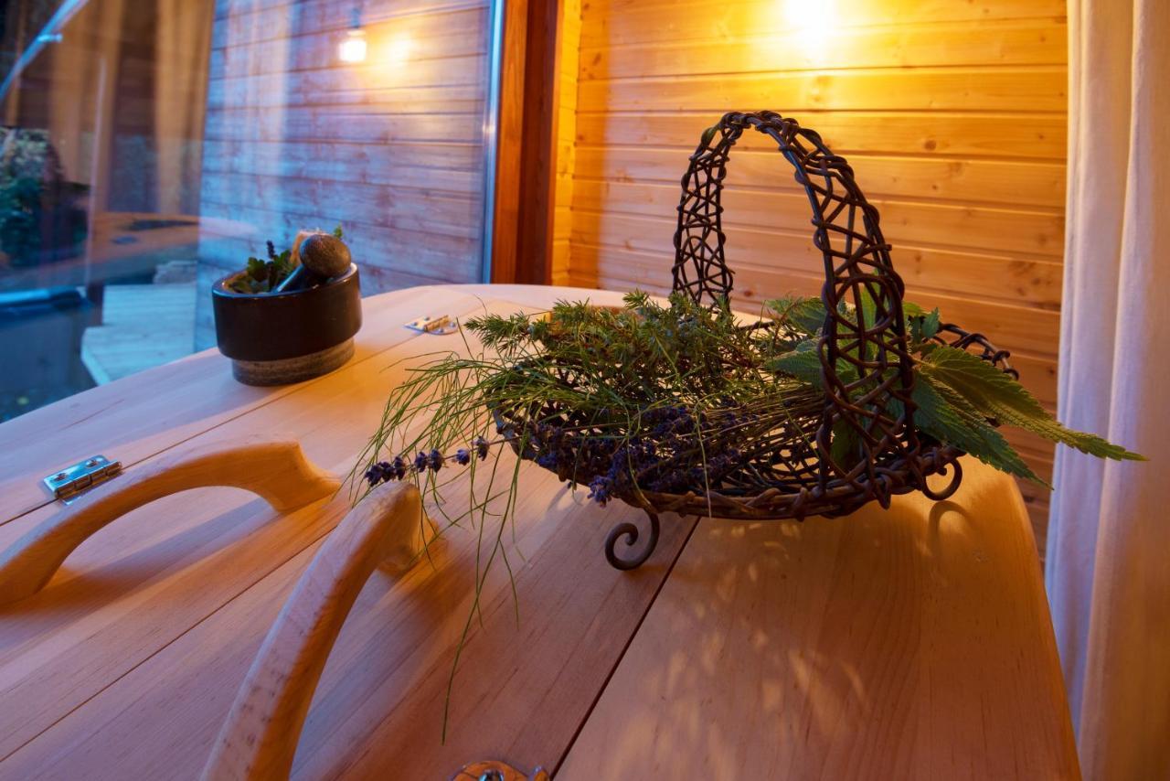 Pinus Villas Lodge With Private Jacuzzi & Phyto-Sauna Retreat Zheleznitsa Eksteriør billede