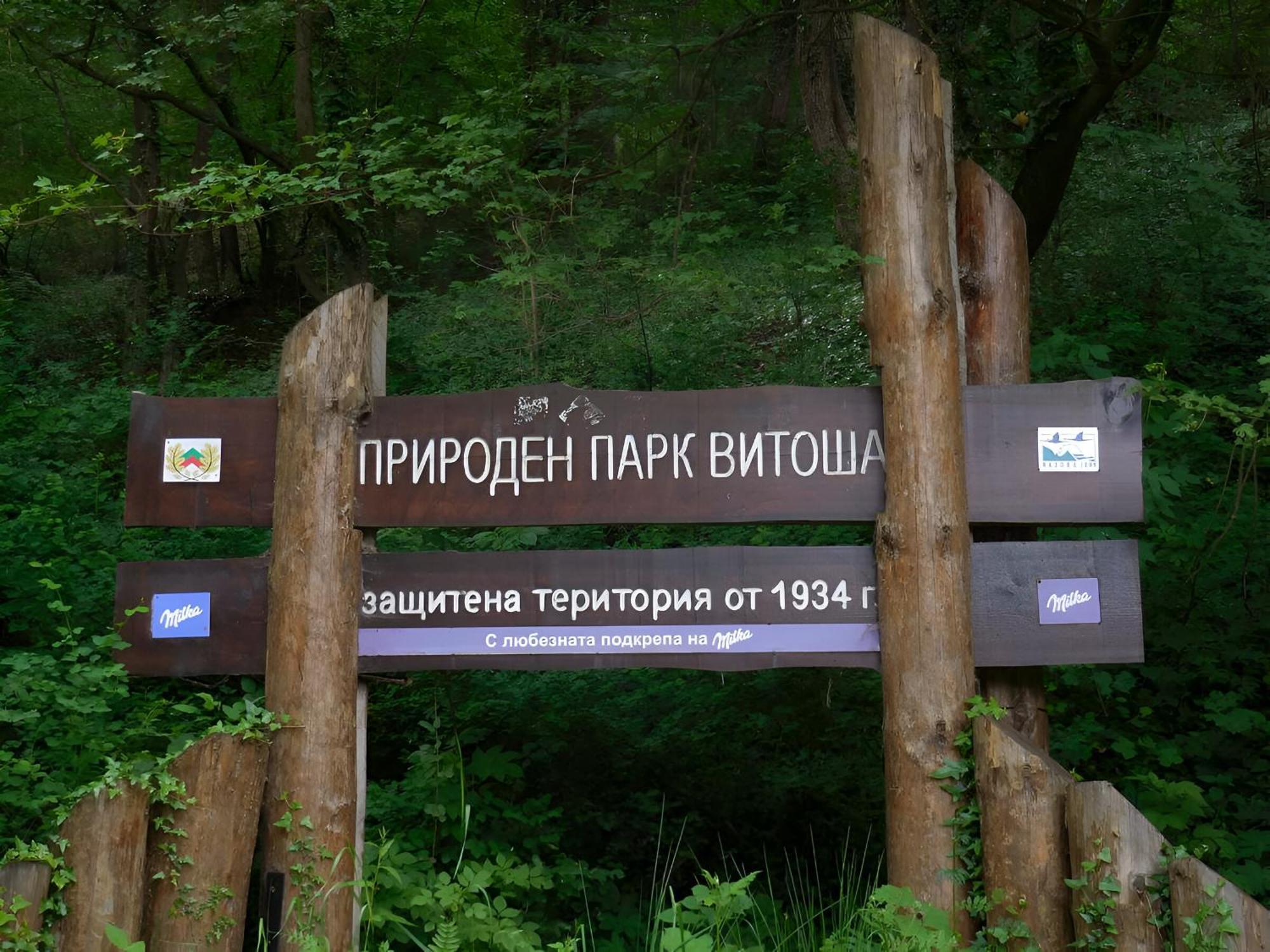 Pinus Villas Lodge With Private Jacuzzi & Phyto-Sauna Retreat Zheleznitsa Eksteriør billede