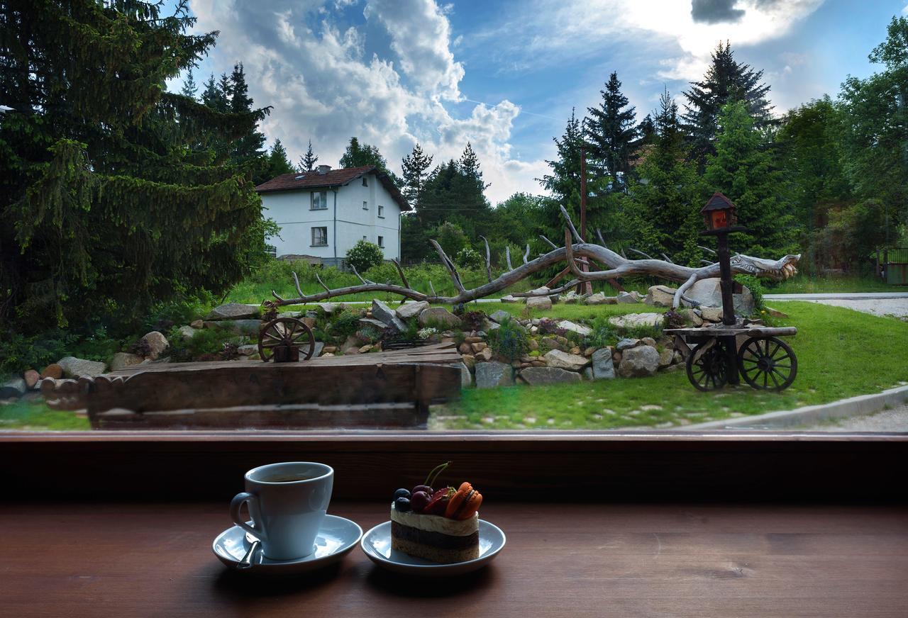 Pinus Villas Lodge With Private Jacuzzi & Phyto-Sauna Retreat Zheleznitsa Eksteriør billede